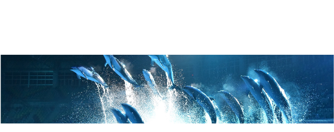 Summer Night Adventure 19 和歌山アドベンチャーワールド