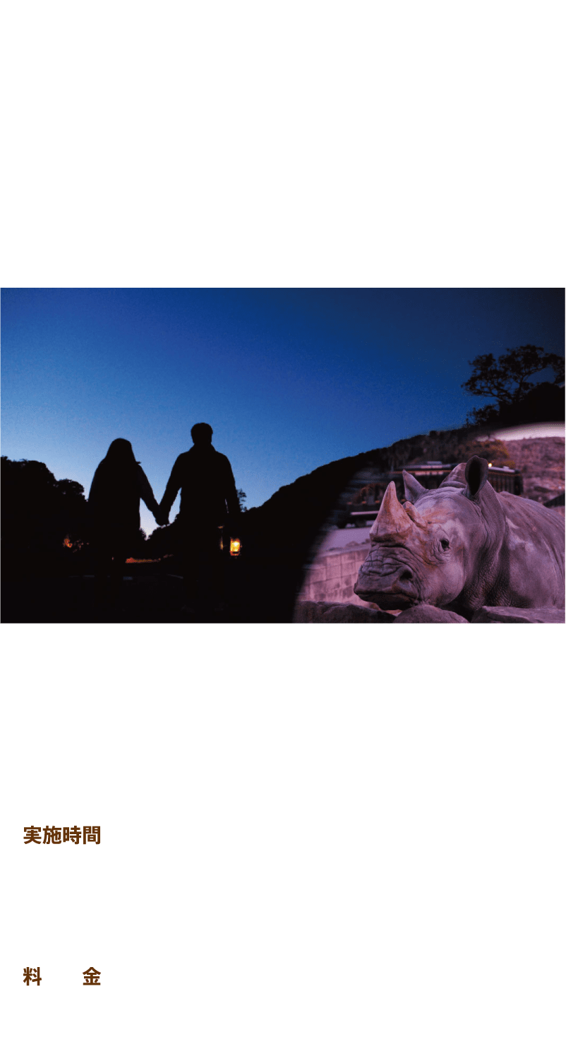 Night Savanna
