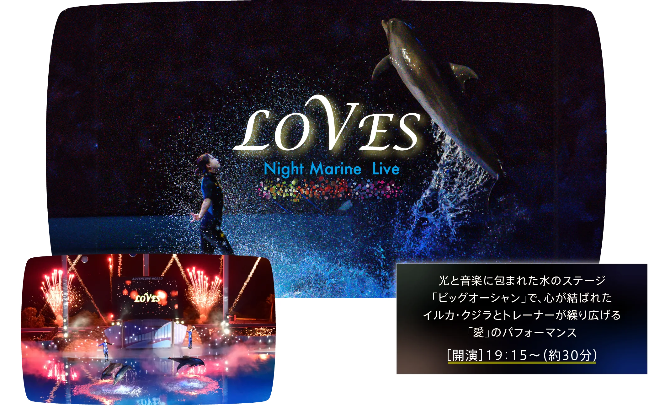 ナイトマリンライブ”LOVERS”