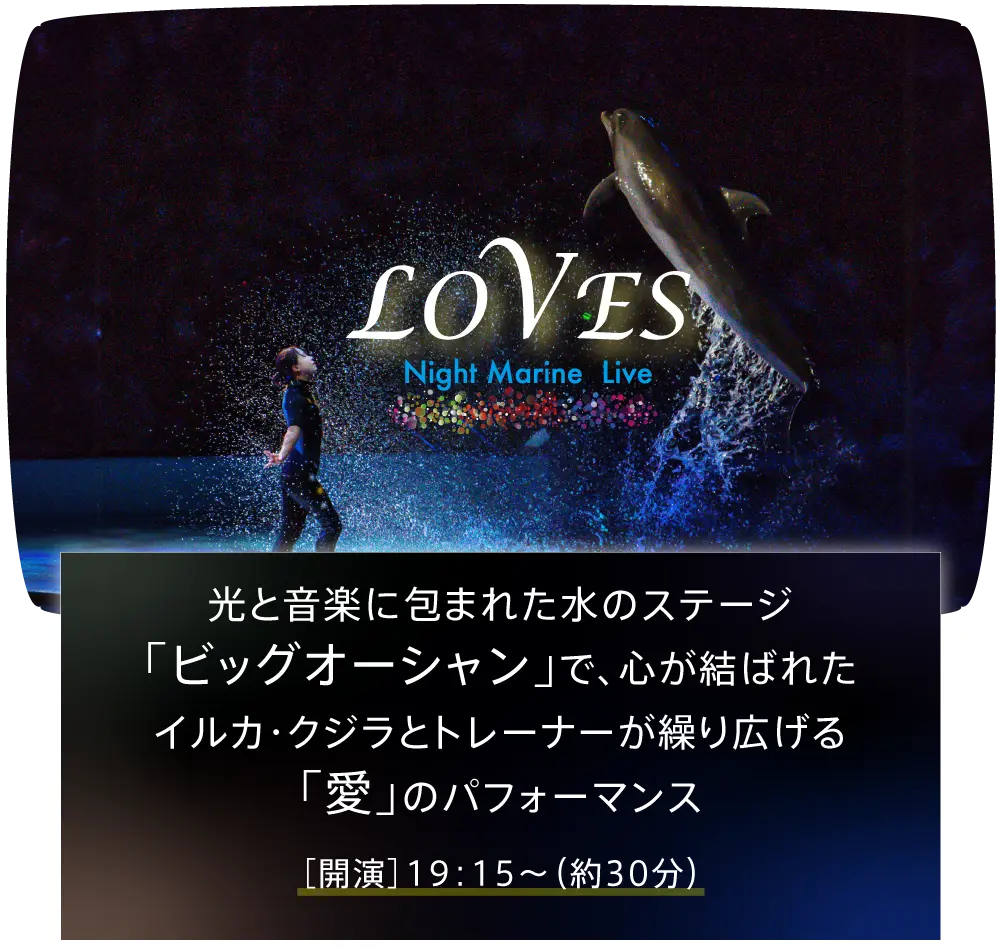 ナイトマリンライブ”LOVERS”