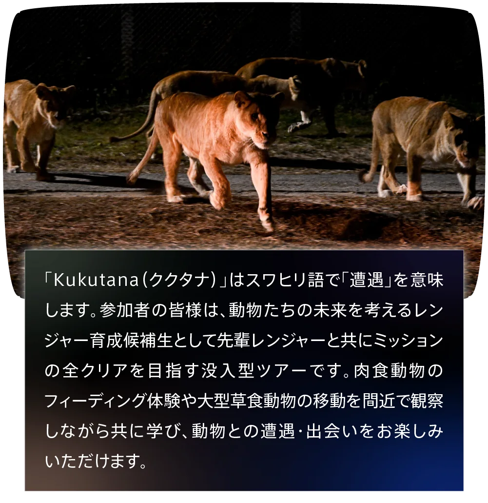 ナイトサファリハイキング