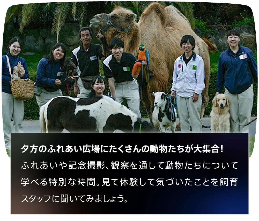 ナイトふれあいパーク